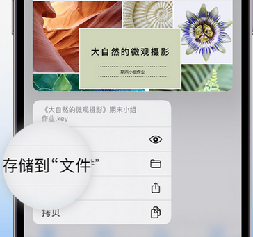 榆社apple维修中心分享iPhone文件应用中存储和找到下载文件