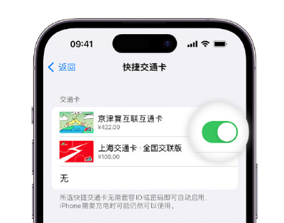 榆社apple维修点分享iPhone上更换Apple Pay快捷交通卡手绘卡面 