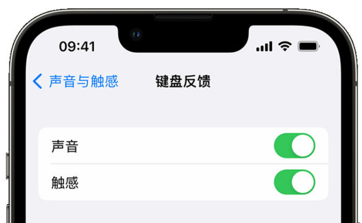 榆社苹果手机维修分享iPhone 14触感键盘使用方法 