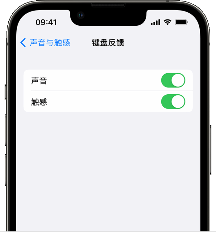 榆社苹果14维修店分享如何在 iPhone 14 机型中使用触感键盘 