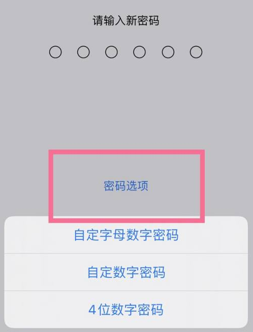 榆社苹果14维修分享iPhone 14plus设置密码的方法 