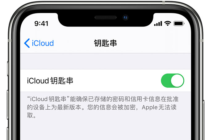 榆社苹果手机维修分享在 iPhone 上开启 iCloud 钥匙串之后会储存哪些信息 